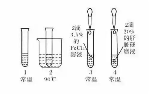 普洱茶蒸汽机：使用方法、功效、购买建议及常见问题解答