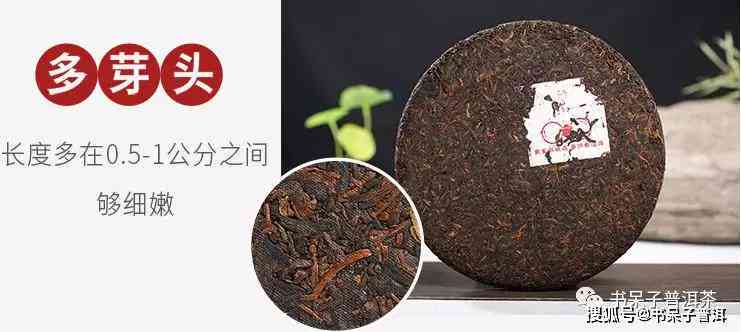 普洱茶冲泡开是什么状态