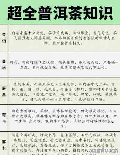 怎么向领导推荐普洱茶呢