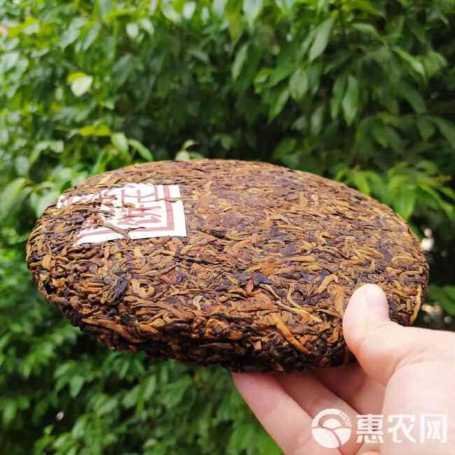 新南帝金芽熟茶茶饼：源自名山古树的独特口感与品质享受