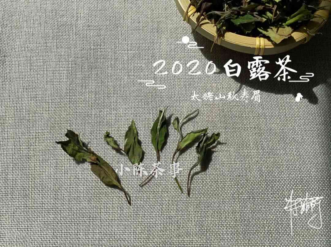 一百右的普洱茶能喝吗