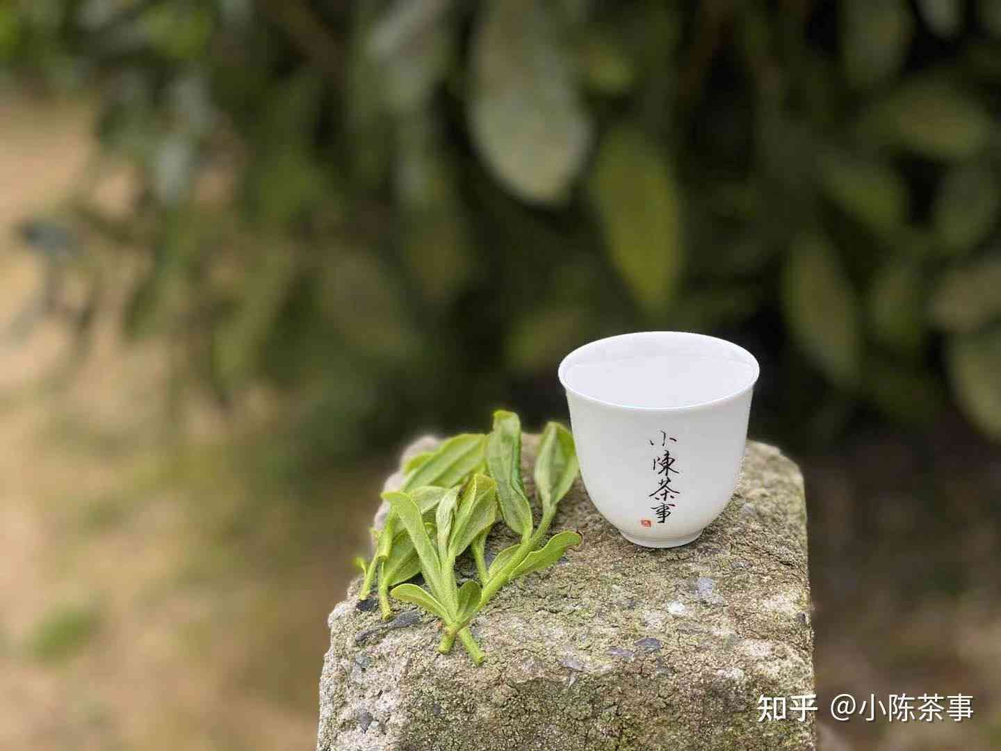 一百右的普洱茶哪种好喝：100元右普洱茶质量评测