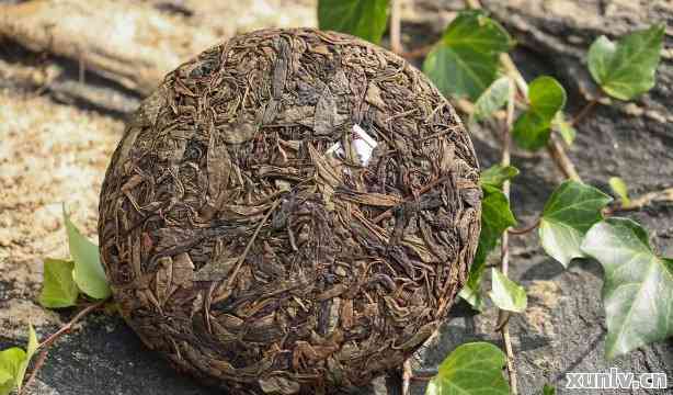 小圆饼普洱茶多少钱一斤