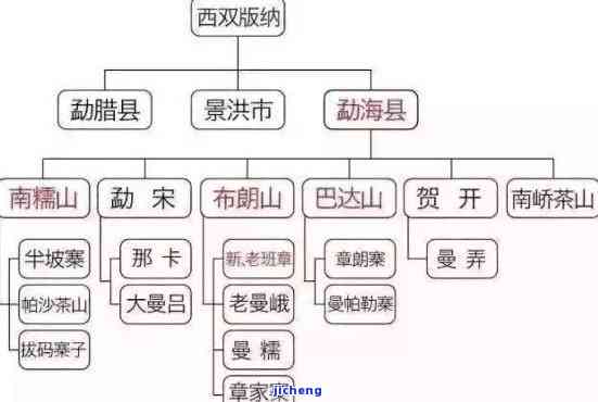 天韵巴达：地名与品种的结合，揭示普洱茶的地域特色