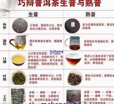 雀普洱茶：一种经典茶叶的全面解读及其特点与品质