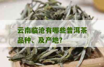 云南临沧地区知名的十大普洱茶及其名称探究