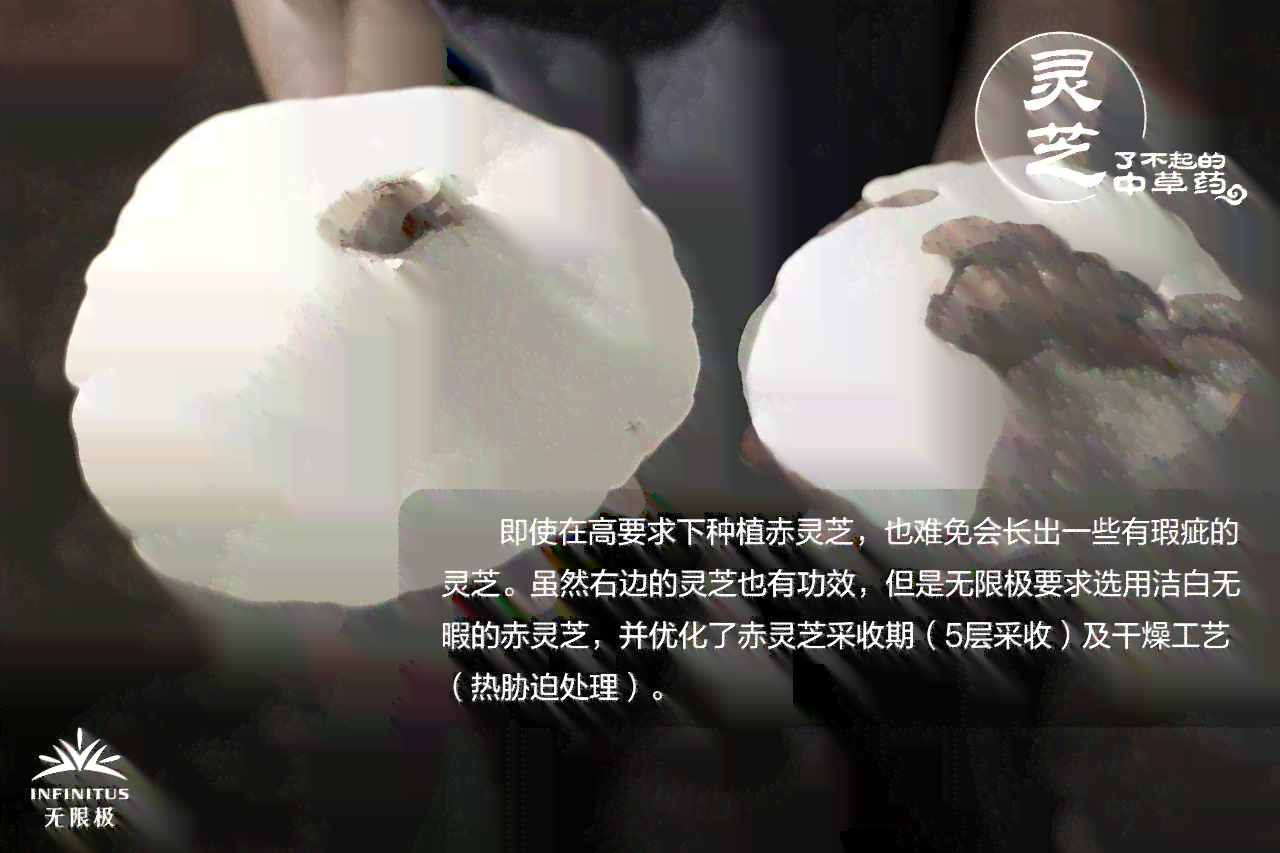 普洱茶饮用后的红色痰液现象探讨及相关因素分析