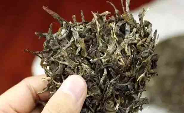 普洱茶之争：单珠与古树茶的品质对比与选择指南