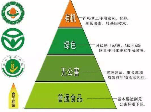 如何选择合适的存环境来保存普洱茶，产区并非唯一关键因素