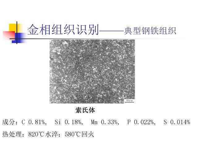 显微镜检测普洱茶原理及其应用