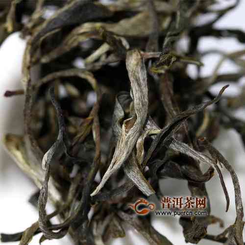 冰岛老寨纯正普洱生茶：古树茶香浓，茶饼细腻，云南批发价特