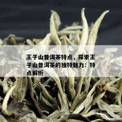 探究普洱茶的独特魅力：揭开王子茶的神秘面纱