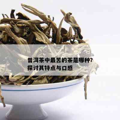 云南最苦普洱茶品种详解：探索普洱茶中的极致苦涩味来源与品鉴方法