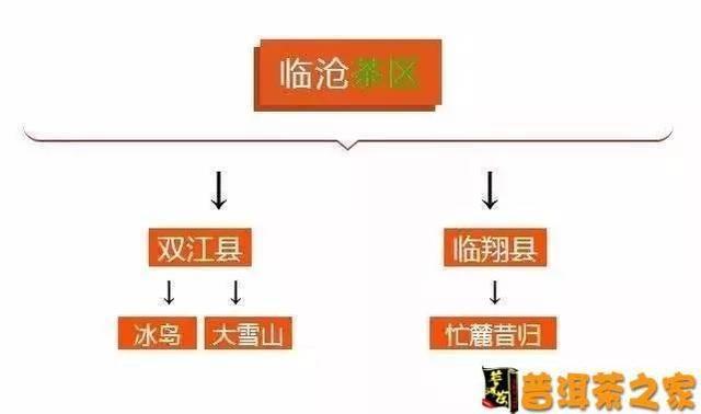 云南普洱茶四大茶区讲解：六大茶山的品鉴与选购指南