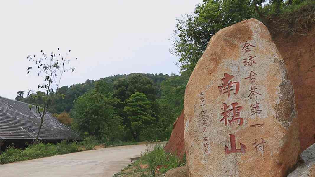 普洱茶最选什么山头好一点：探寻优质普洱茶的山头之选