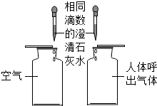 普洱茶的化学分析方法：原理、步骤及结果解析