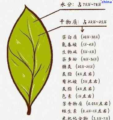 普洱茶的化学成分分析及其对健的影响：一种全面的科学解读