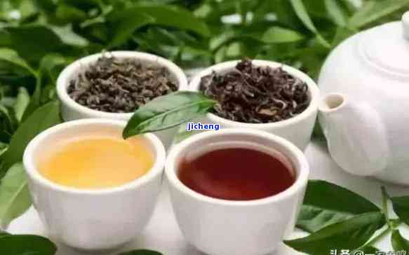 普洱茶另类喝法品种：绿茶、红茶、黑茶、白茶、黄茶等。