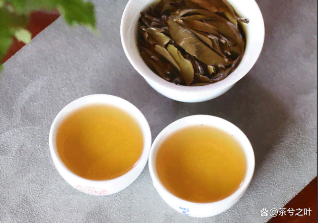 普洱茶另类喝法品种：绿茶、红茶、黑茶、白茶、黄茶等。