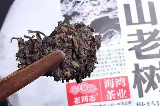 老同志普洱茶深山老树名山系列品鉴：懂过的你不能错过！