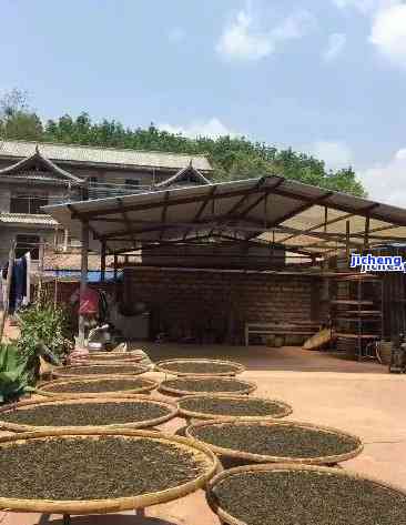 云南特色普洱茶：老根古树茶厂精选茶叶，品鉴林建企业加工工艺与价格优