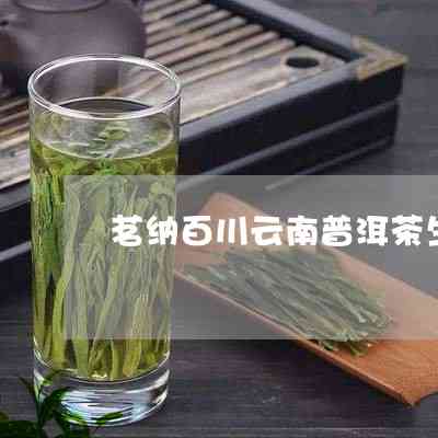 茗纳百川云南临沧普洱茶