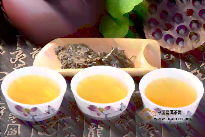 冬天喝普洱茶什么茶