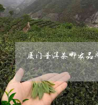 厦门知名普洱茶企业排名