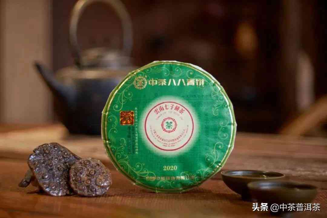 厦门知名普洱茶排名