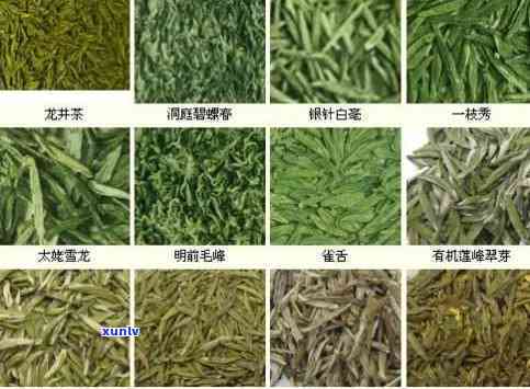 西安人喜爱的茶叶种类及其功效：了解西安茶文化与品茗惯