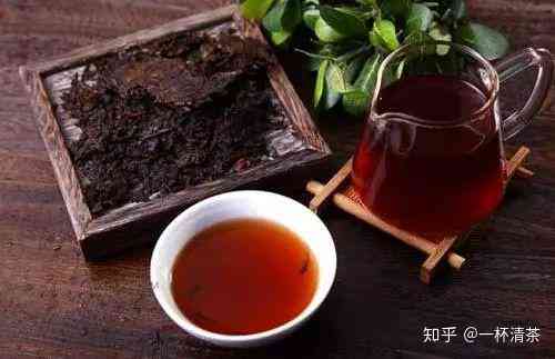 六大贡饼普洱茶是什么茶类？