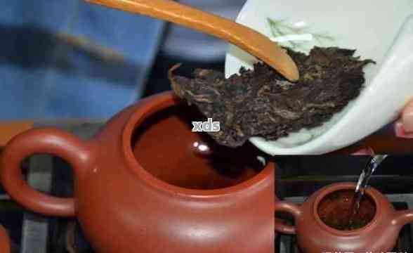 泡普洱茶适合用什么壶型