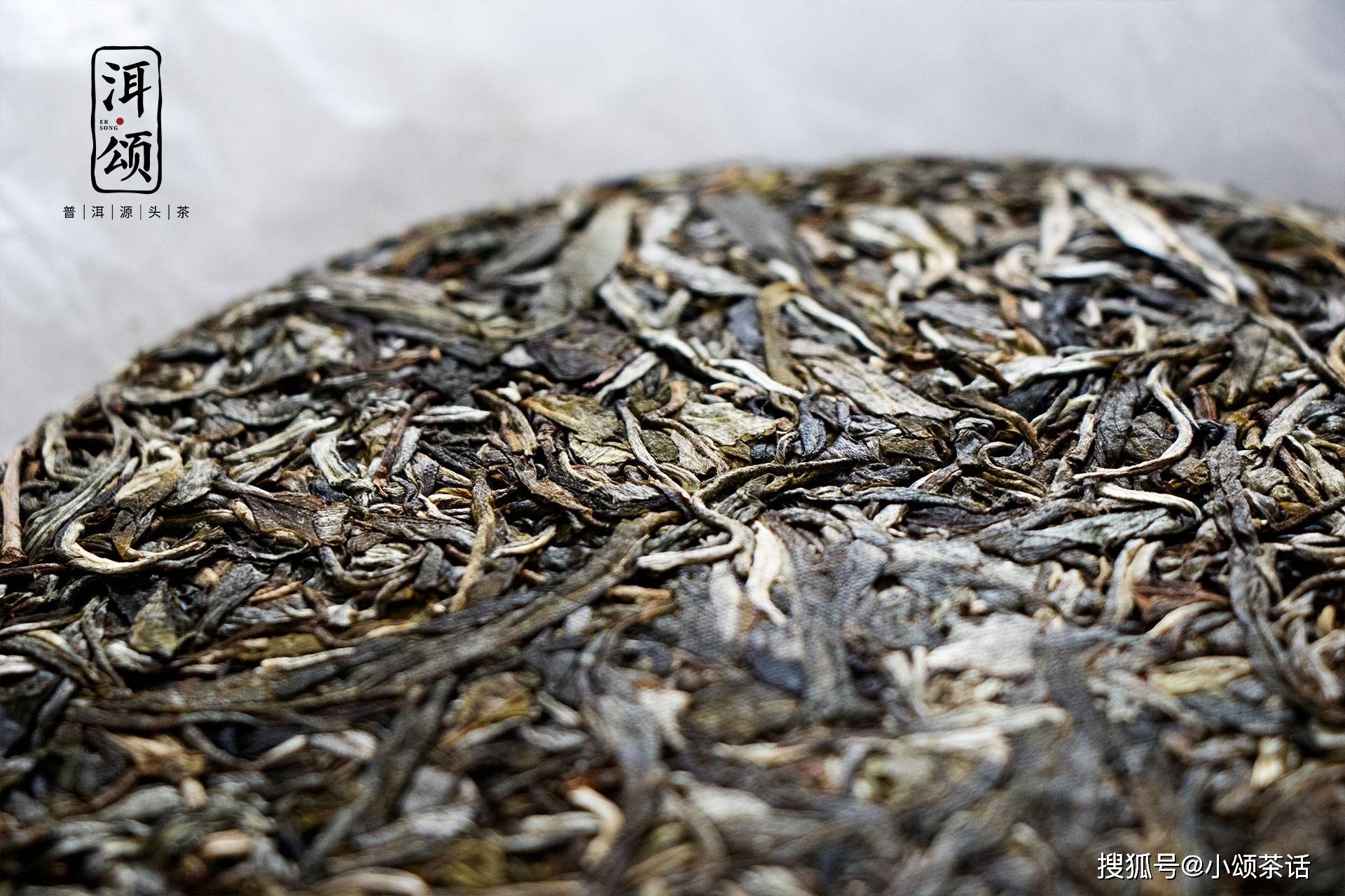 樟香普洱茶是什么意思？熟茶、生茶的区别与功效
