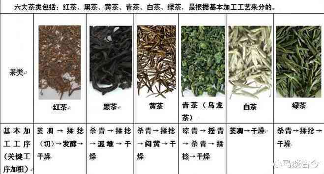 云南普洱茶各种新茶叶的分类与鉴别