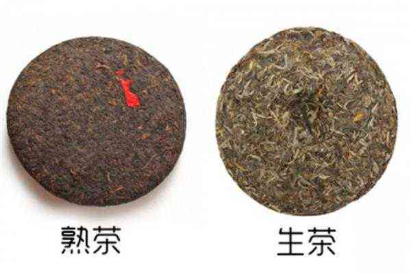 熟普洱茶苦原因解析：了解背后科学原理