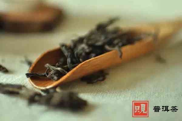 小金砖普洱茶的冲泡方法