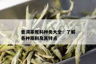 普洱茶的分类及其特点：了解普洱茶属于哪种茶类类型