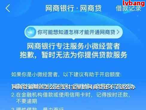 '网商贷逾期还款问题解决：无法再借款，即将还清'