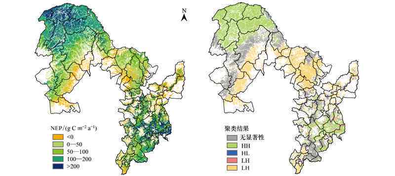 高山生态普洱茶什么档次：揭示其产地与特性