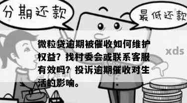 微粒贷逾期的困境：用户权益如何保障？