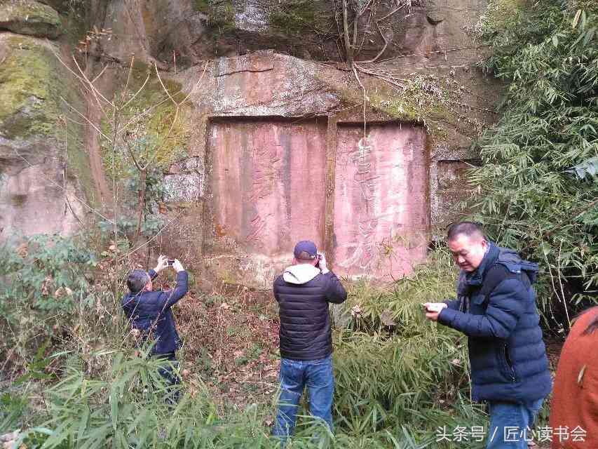 竹林寨普洱茶：品质、产地、制作工艺、品鉴方法及适合的饮用场景全解析