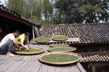 昆明哪里可以购买优质的普洱茶？ - 寻找普洱茶专卖店和市场指南