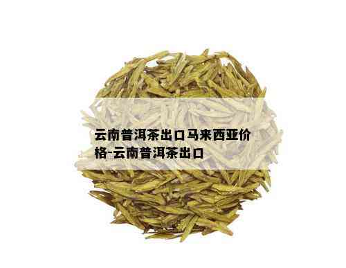 马来西亚在哪找普洱茶好