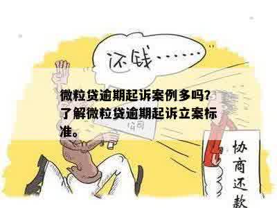 微粒贷逾期案件：如何应对法院起诉并达到立案标准？