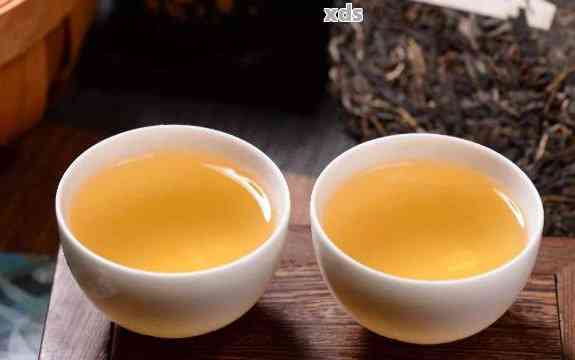 班章普洱茶完整冲泡指南：从选茶、备水到品鉴，一应俱全