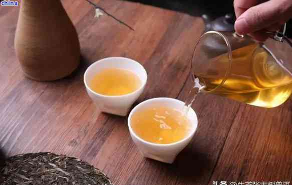 班章普洱茶完整冲泡指南：从选茶、备水到品鉴，一应俱全