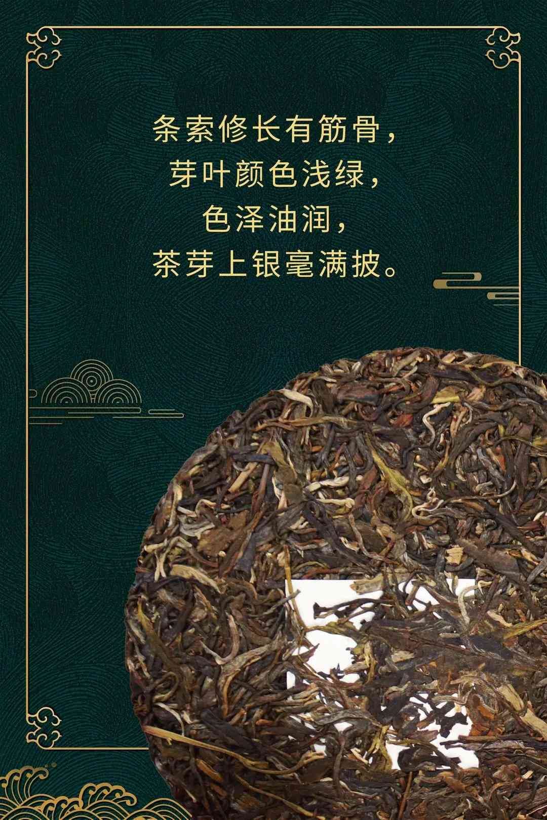 探寻普洱茶行业翘楚：揭秘更受欢迎的十大