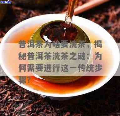 普洱茶冲泡前的洗茶环节：必要性与正确方法