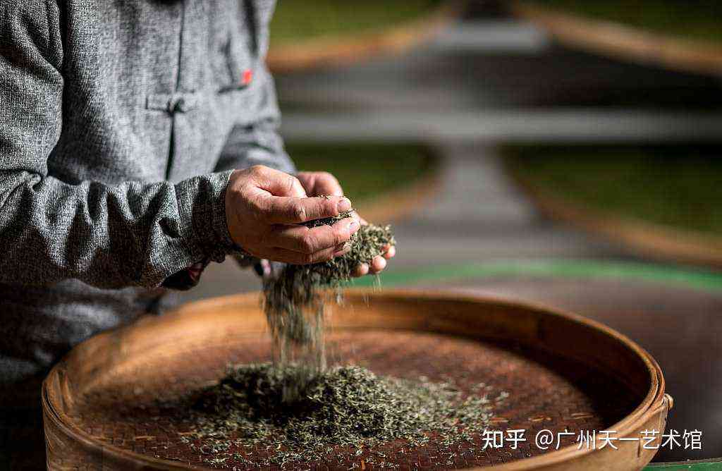 博承大师精选古法制茶：一款独特的普洱茶体验