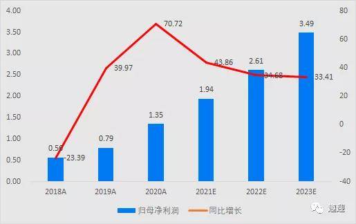 普洱茶产业链中的深加工企业：全面分析与知名公司介绍